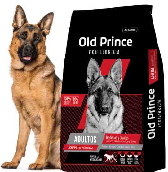 OLD PRINCE EQUILIBRIUM ADULTO MEDIANO X 20 KG 